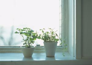 神戸の洗練された暮らしを実現するタカラスタンダード神戸HDCショールーム|最新設備と豊富な展示品でリフォーム・新築をサポート