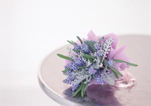 快適な空間を実現！リビング向けスクリーンサイズ選びの最新ガイド【2026年最新版】